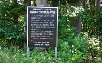 辨開凧次郎生誕の地看板