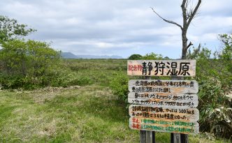 静狩湿原